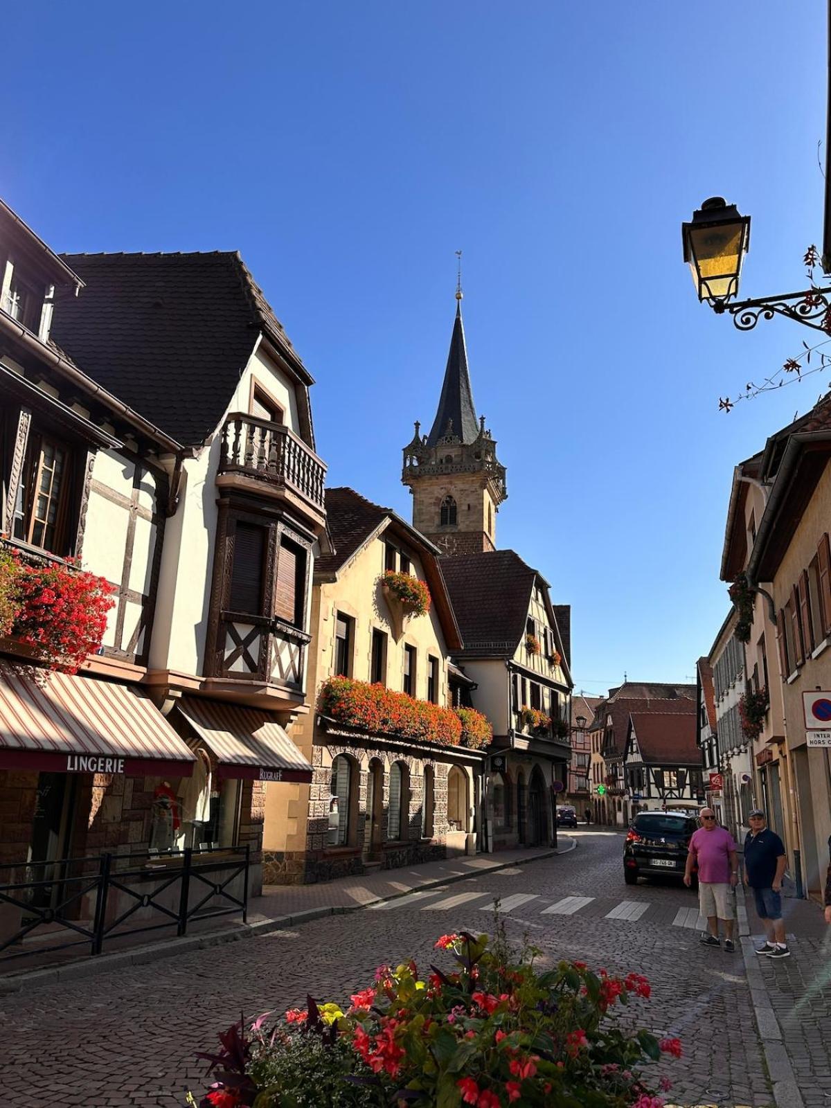 Le Nid Cosy D'Obernai /2Min Centre Ville/Parking Exterior foto